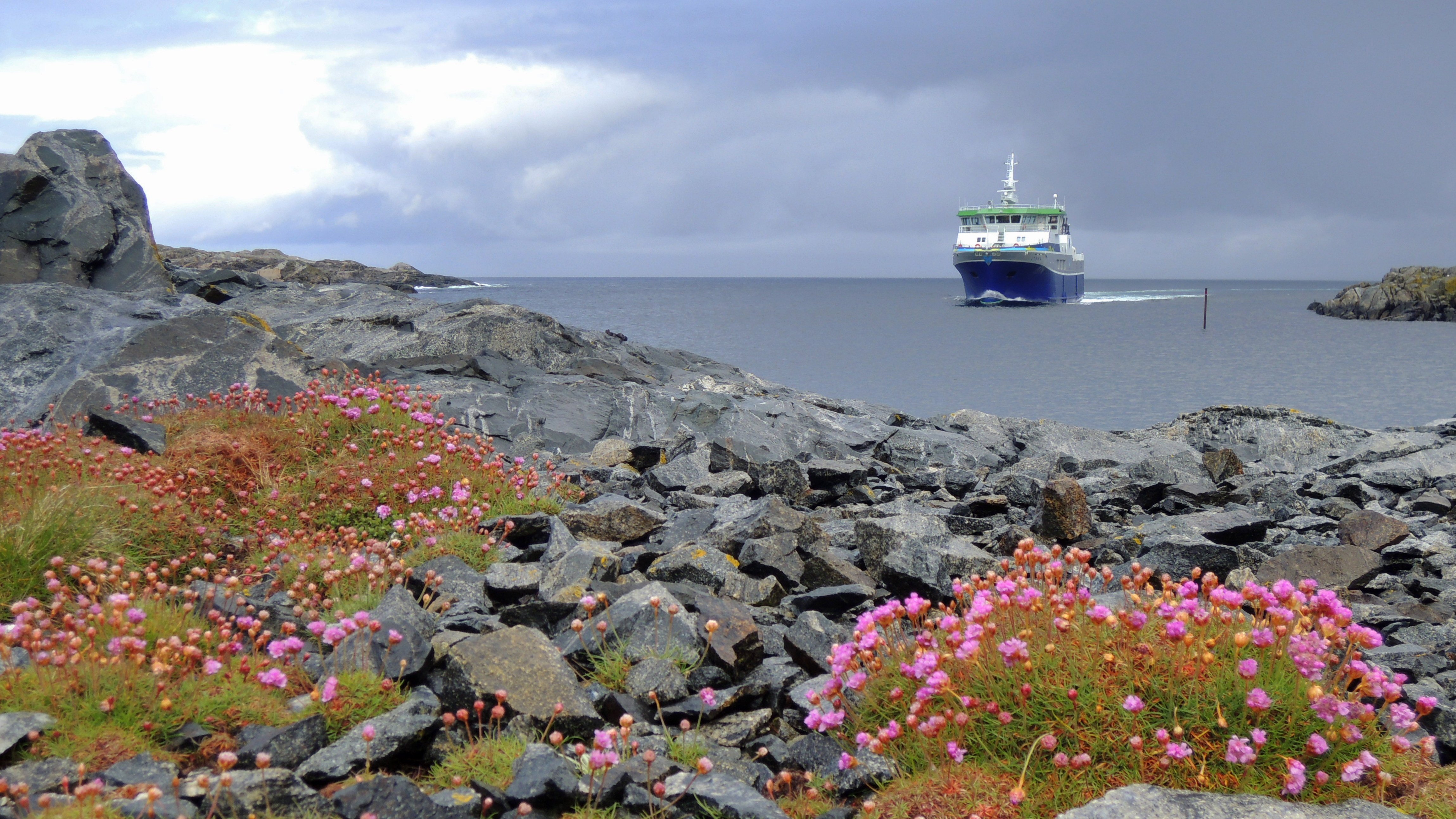 En ferge kjører inn mot land. I forkant ser vi fjell og blomster.