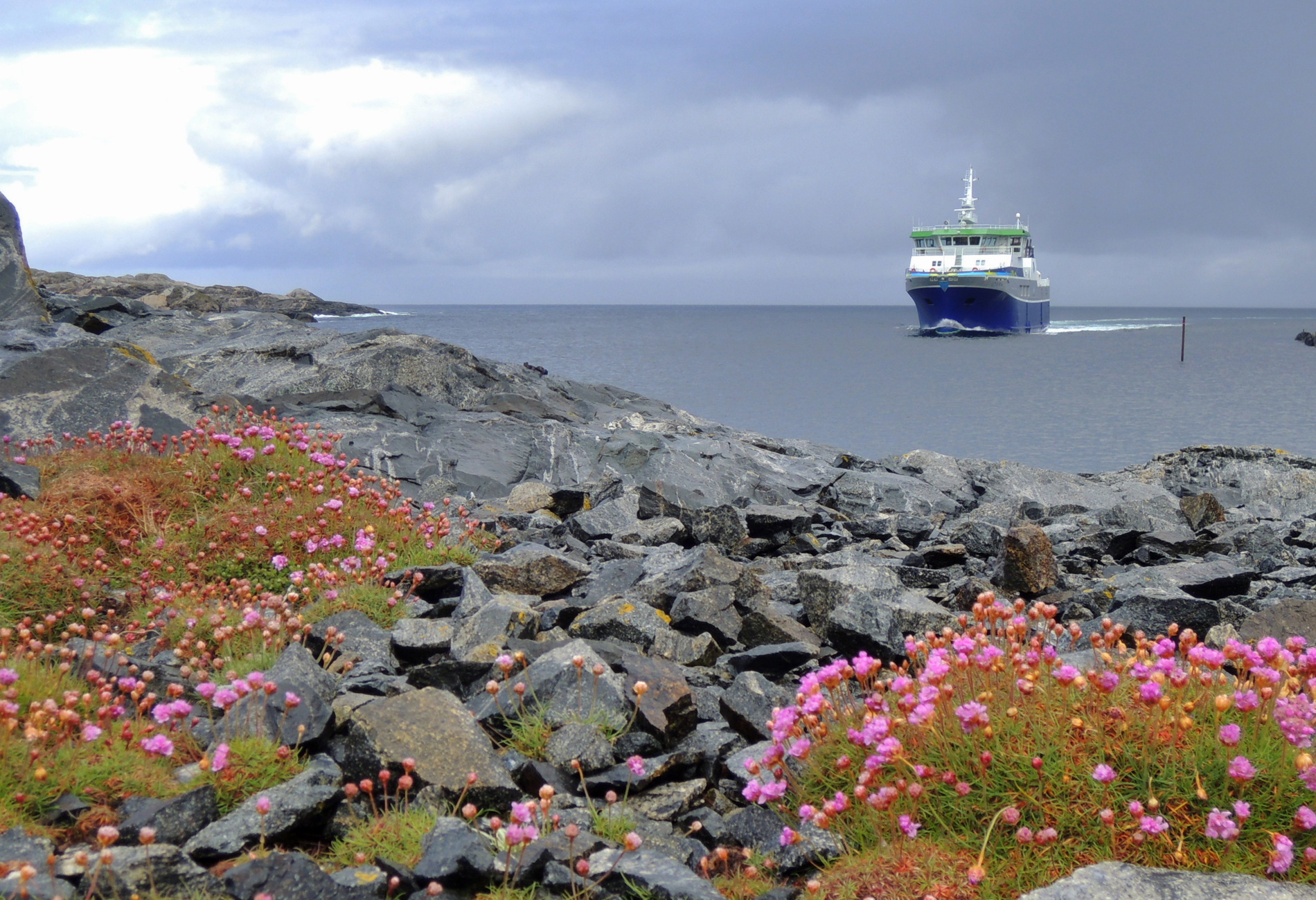 En ferge kjører inn mot land. I forkant ser vi fjell og blomster.