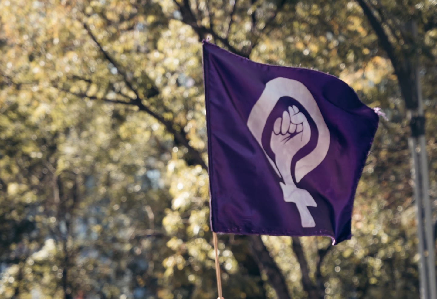 Kvinn går i tog, og en kvinne holder et banner med symbolet for hunkjønn.