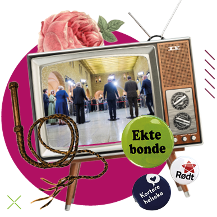 Illustrasjonsbilde partier