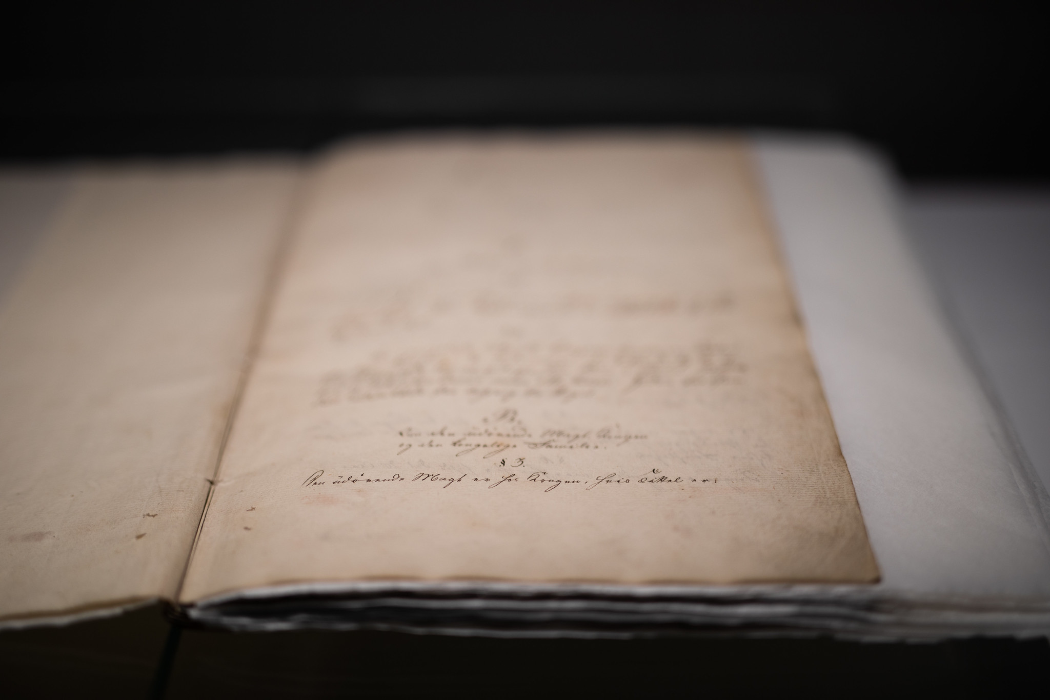 Grunnlovens paragraf 3 om kongen og utøvende makt