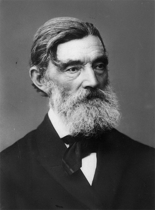 Portrett av Johan Sverdrup